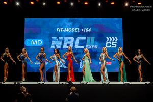 FIT-MODEL +164 раунд 2